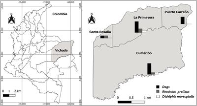 Enzootic Trypanosoma cruzi infection by Rhodnius prolixus shows transmission to humans and dogs in Vichada, Colombia